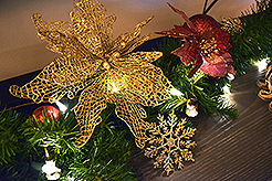 THE MARTIN FOR THE HOLIDAYS